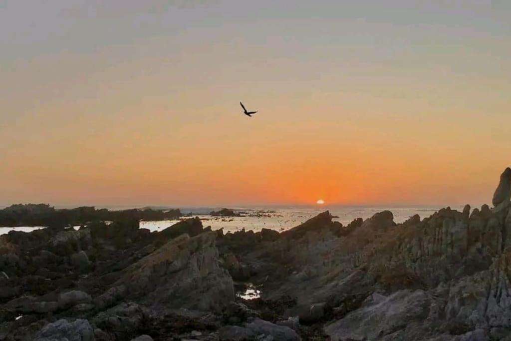 Hermanus Sea View Room מראה חיצוני תמונה